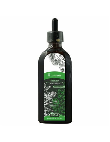 Barberry Alcohol-Free Extract (200ml)
