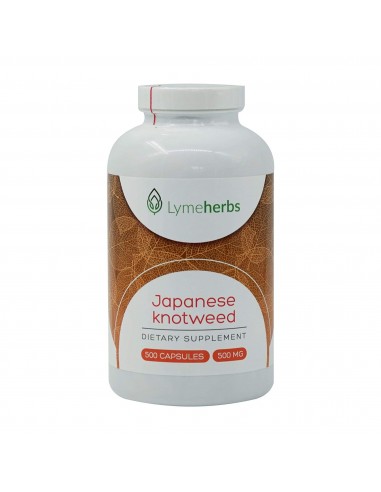 Japanese Knotweed (Polygonum cuspidatum) Standartized to 10% Resveratrol,500mg, 500 capsules