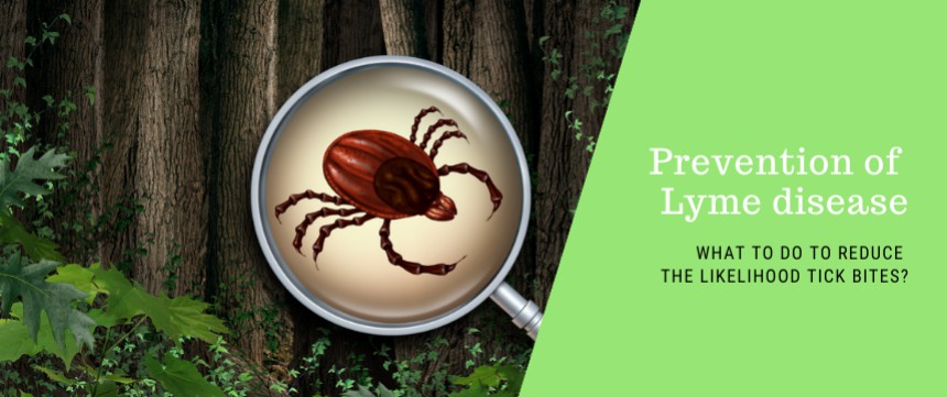 Prevention of Lyme disease